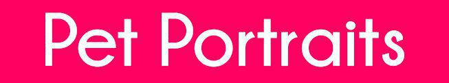Banner Graphic that is Hot Pink with white text that reads "Pet Portraits"
